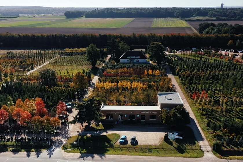 Pépinière d'arbres en Île-de-France avec production locale d'arbres adultes pour aménagement paysager