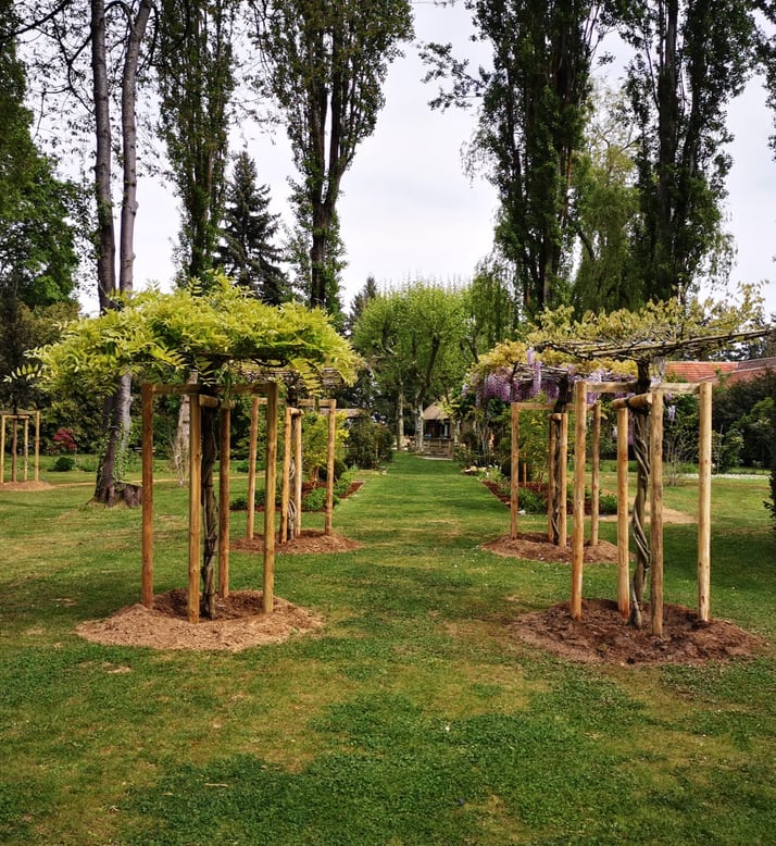 Plantation d'arbres de grande taille avec machine spécialisée par un paysagiste